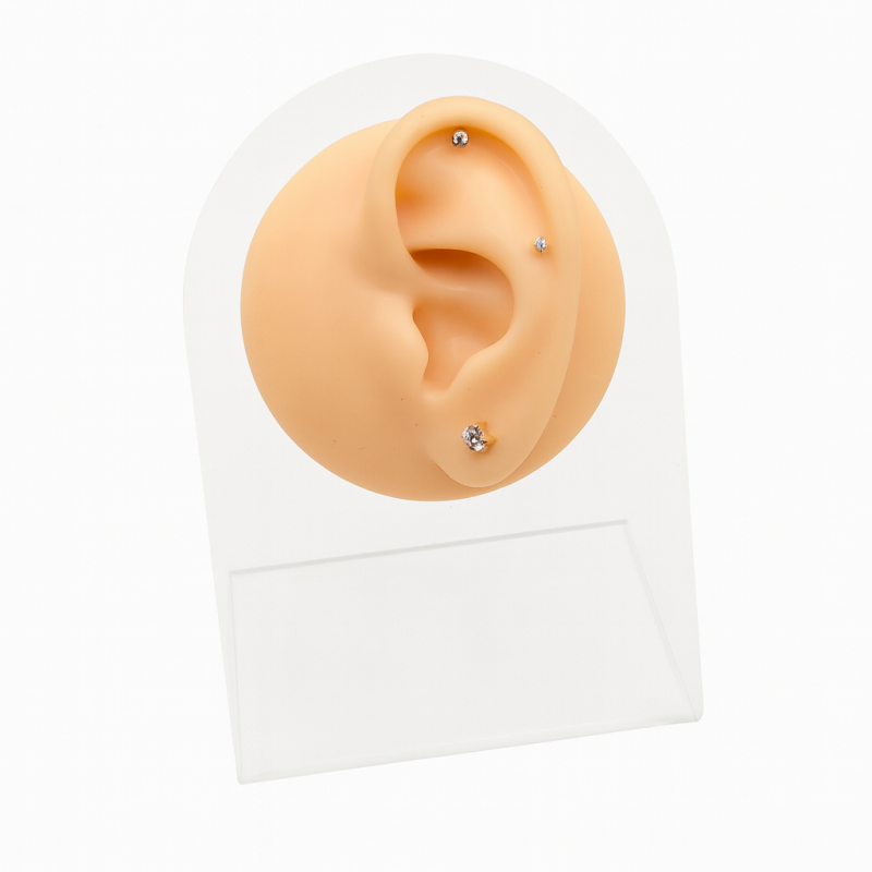Pierced 귀 모형 스탠드
